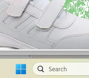 AGT-052 Anti-Germ Sports Shoe